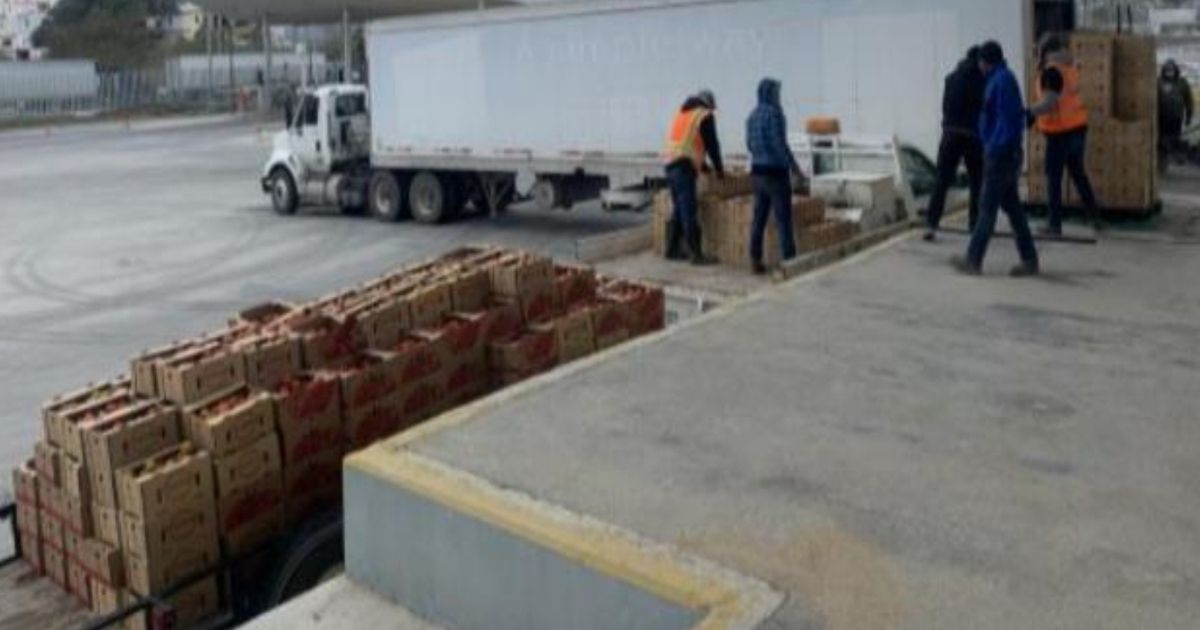 SAT dona 1.8 toneladas de tomate decomisado en aduana de Tamaulipas