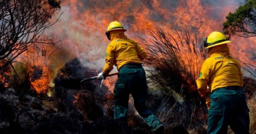 Pronostican temporada crítica de incendios forestales en México