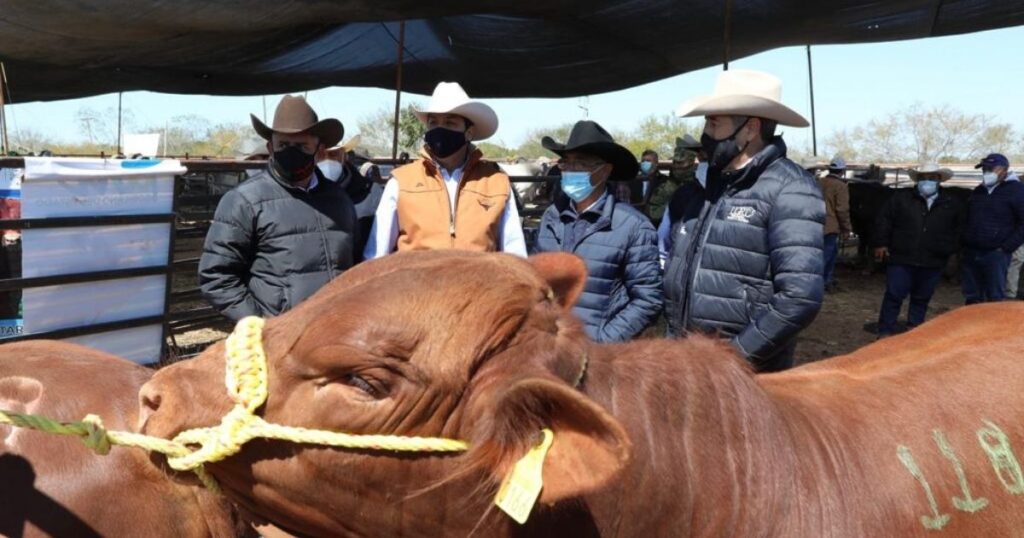 Tamaulipas mantendrá apoyos para productores ganaderos