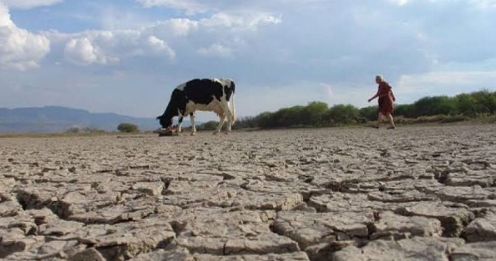 Pronostican sequía severa este verano para Victoria