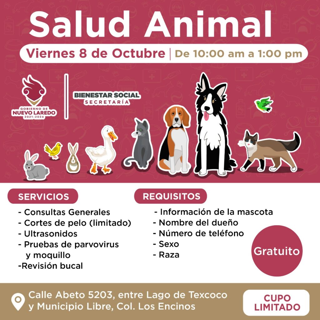 Primera brigada de salud animal en Nuevo Laredo