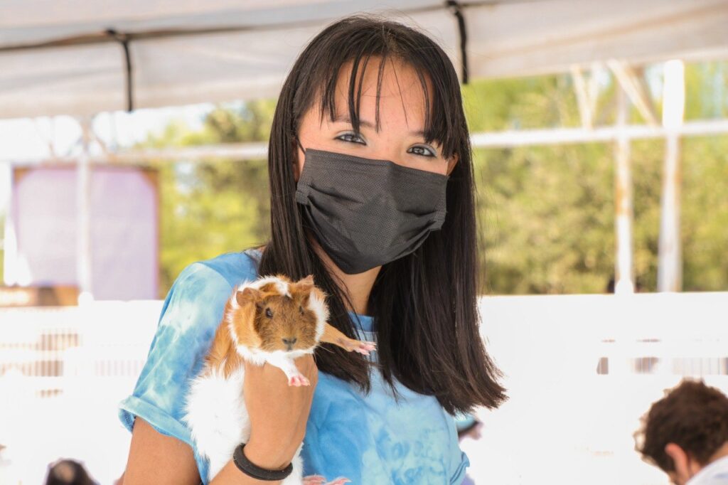 Atiende Gobierno Municipal de Nuevo Laredo salud de mascotas