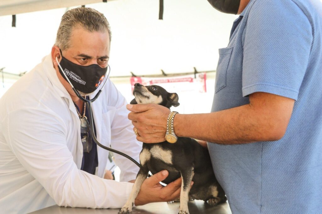 Atiende Gobierno Municipal de Nuevo Laredo salud de mascotas