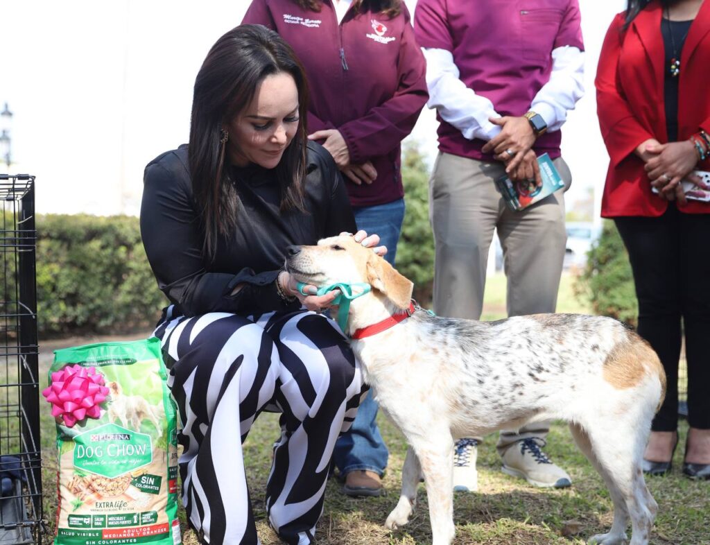 Brinda COMUSA hogar a perritos abandonados en Nuevo Laredo