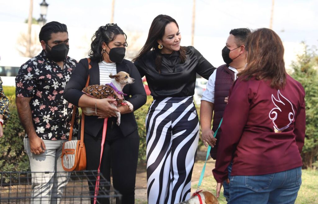 Brinda COMUSA hogar a perritos abandonados en Nuevo Laredo