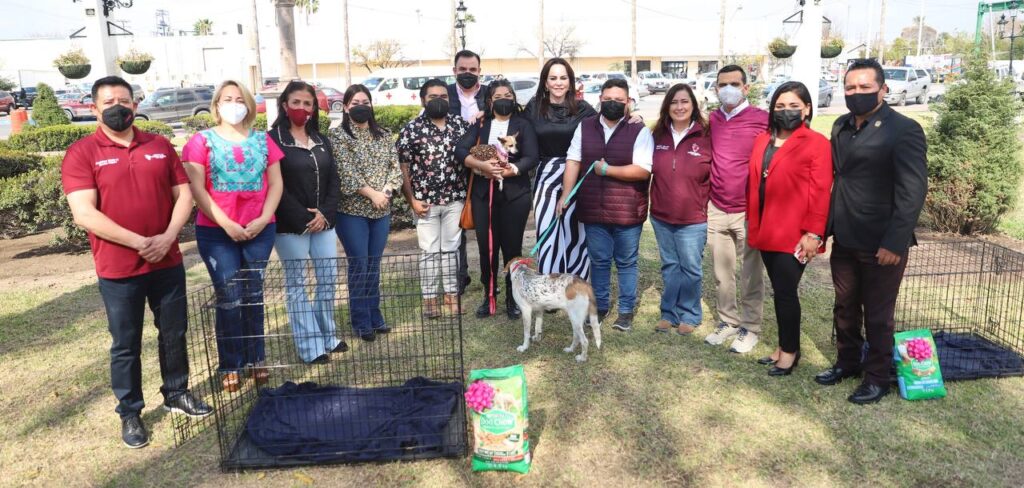 Brinda COMUSA hogar a perritos abandonados en Nuevo Laredo