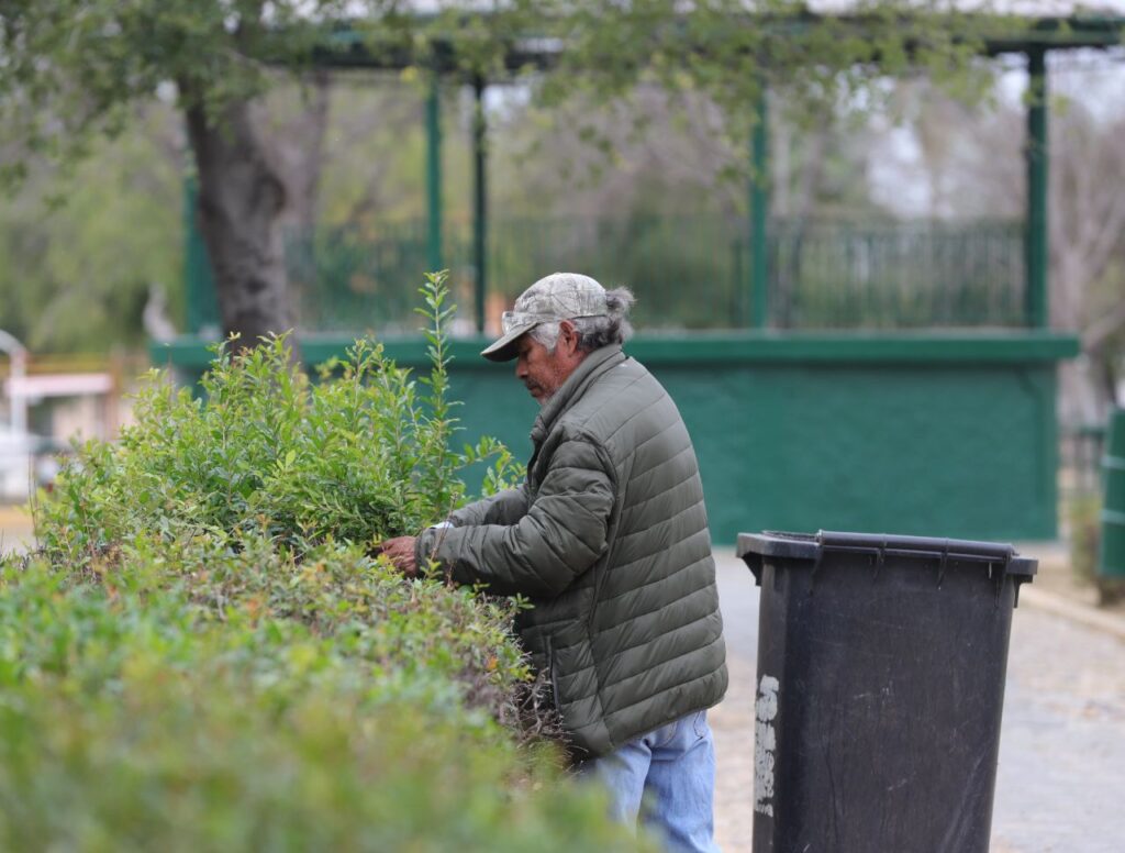 Retiran semanalmente alrededor de 100 toneladas de escombro de parques y jardines en Nuevo Laredo