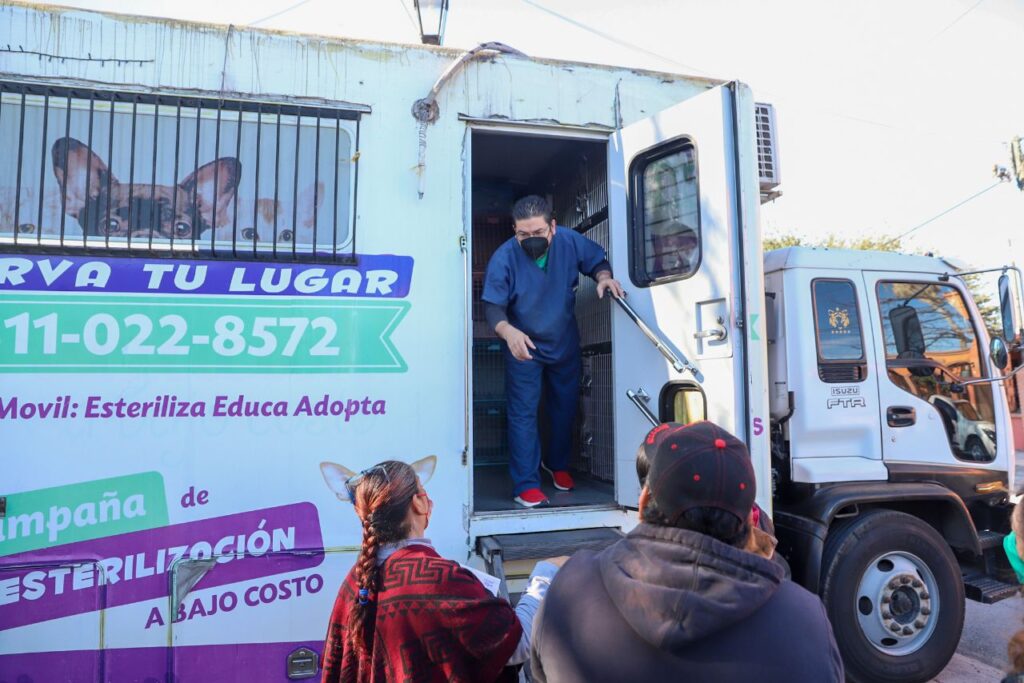 Inicia primera Jornada de Esterilización para animales rescatados