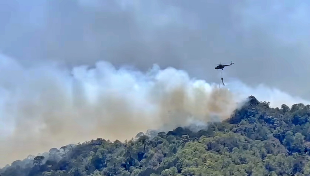 Sin fecha para abatir incendio en la Biósfera de El Cielo