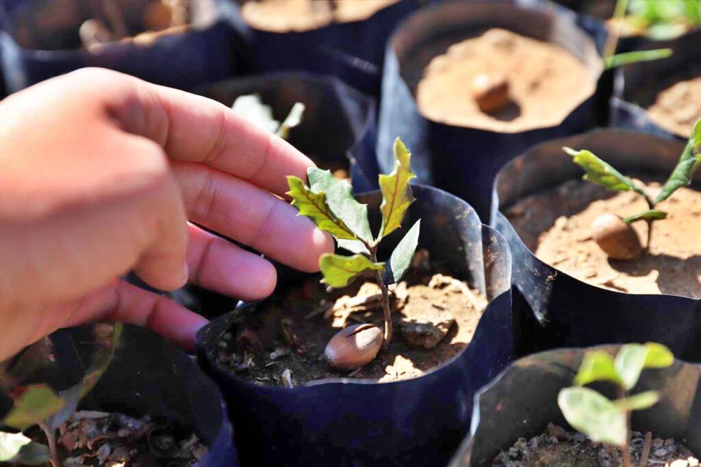 Reactivarán pláticas de concientización sobre el medio ambiente en escuelas de Nuevo Laredo