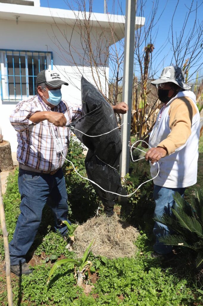 Se han reforestado un total de 120 árboles en diversos puntos de Nuevo Laredo