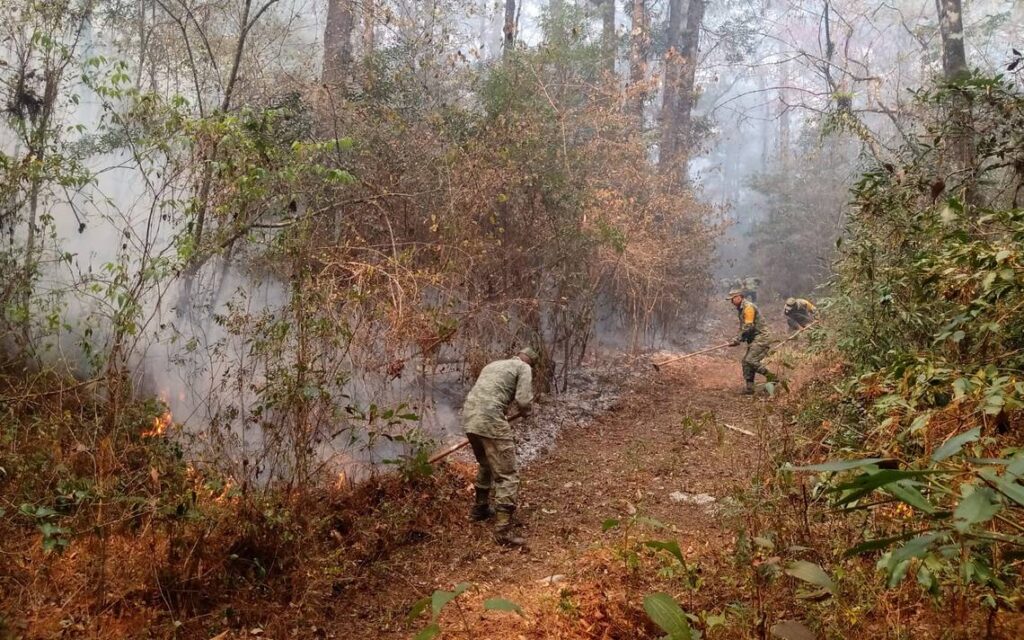 Reportan controlado al 100 por ciento incendio en La Biósfera El Cielo