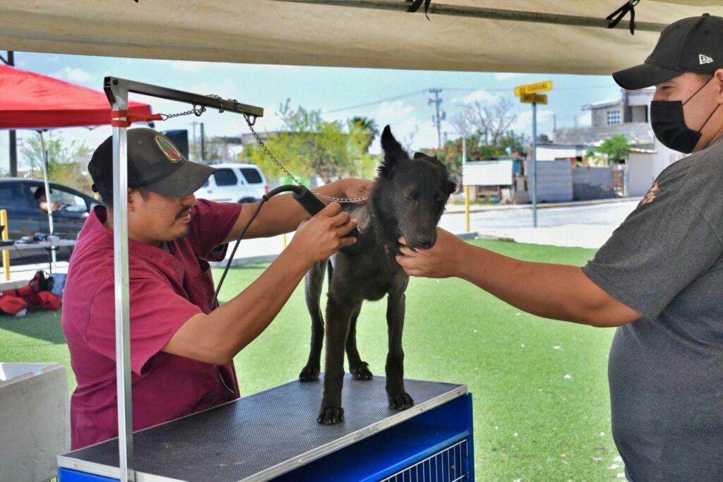 Llega Brigada de Salud Animal al Parque Lineal en Nuevo Laredo