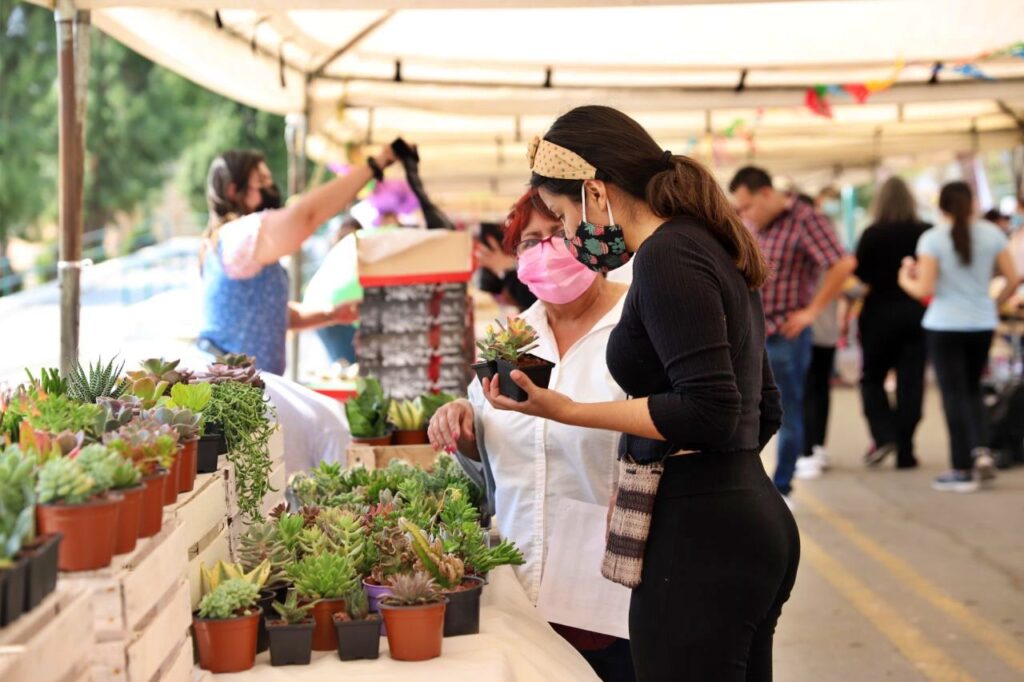 Convocan a negocios locales de Nuevo Laredo al Bazar Primavera