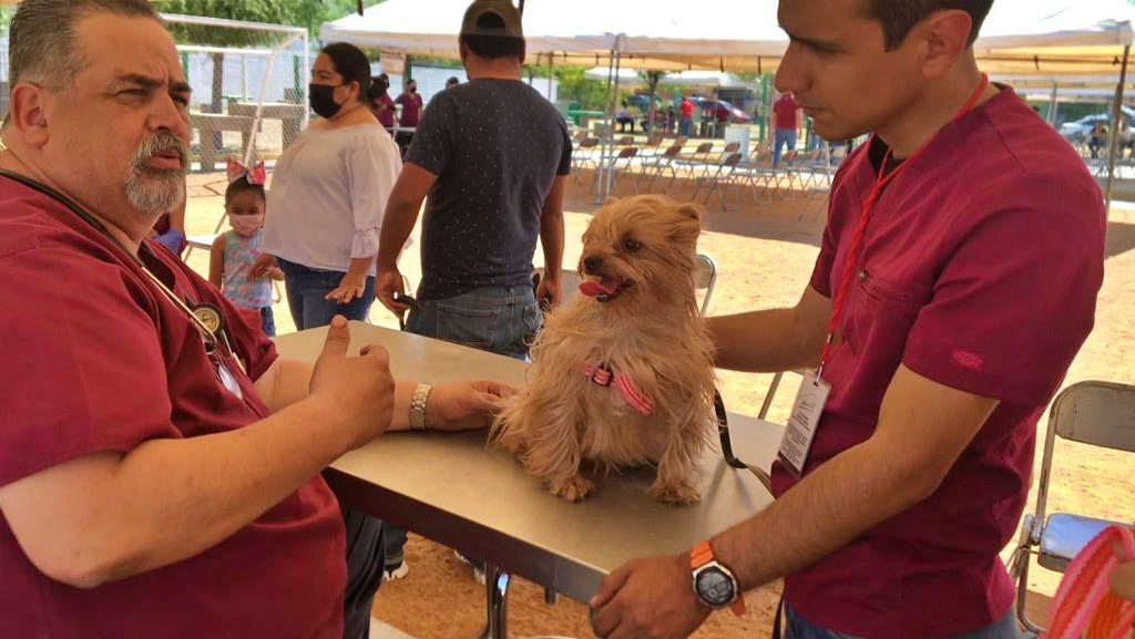 Realizan Brigada Médica Mixta en el parque Laguna Madre en Nuevo Laredo