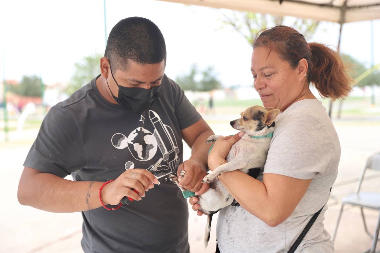 Habrá Brigada de Salud Animal en la Plaza Zaragoza en Nuevo Laredo