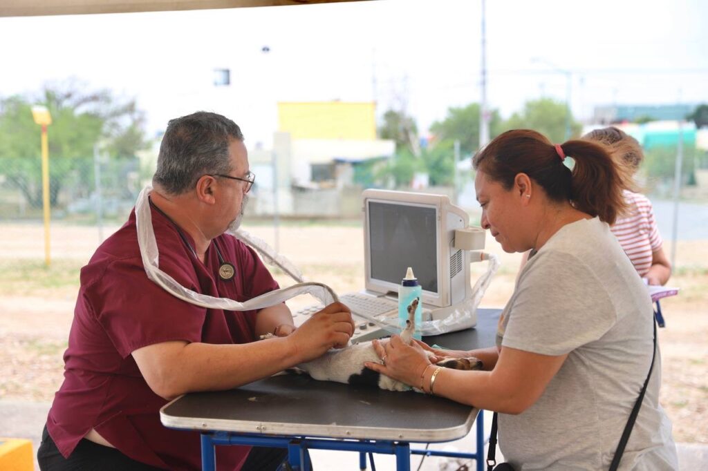 Habrá Brigada de Salud Animal en la Plaza Zaragoza en Nuevo Laredo