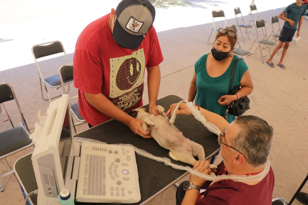 Acercan atenciones de salud para mascotas en la Plaza Zaragoza en Nuevo Laredo