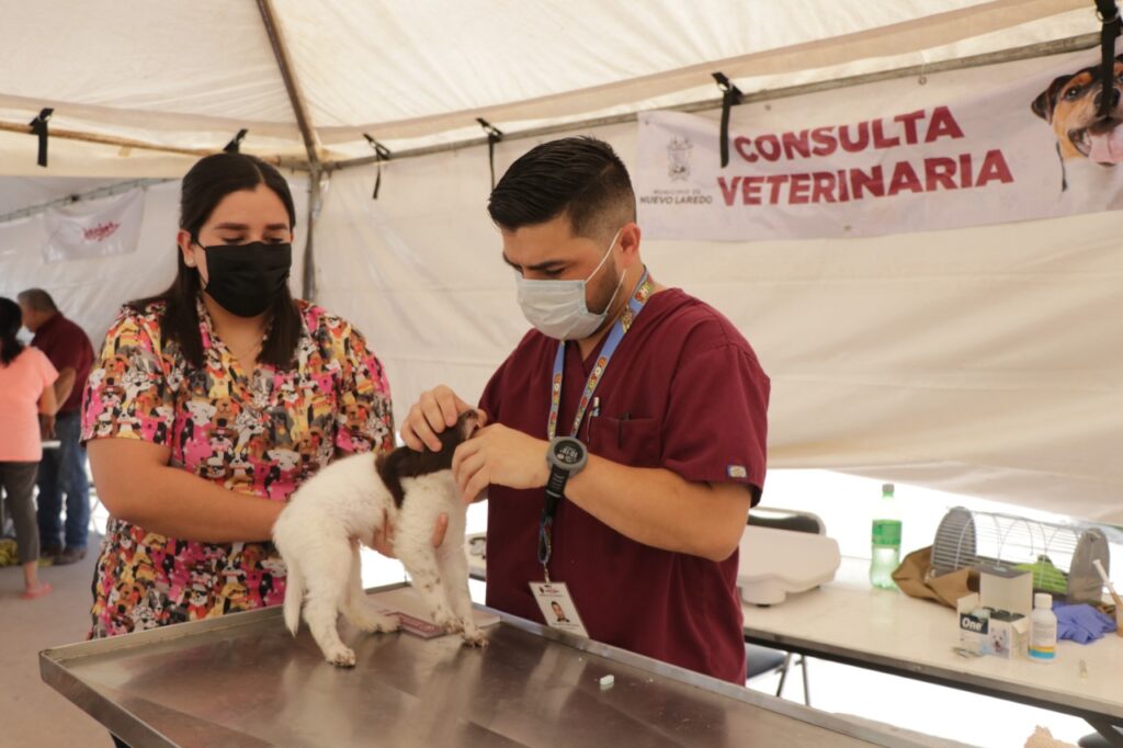 Acercan atenciones de salud para mascotas en la Plaza Zaragoza en Nuevo Laredo