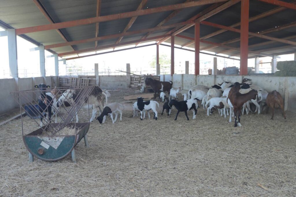 Se fortalece la campaña de consumo de carne local en Nuevo Laredo