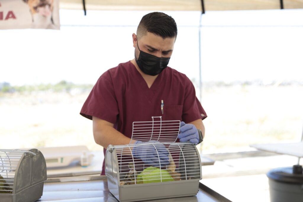 Realizan Brigada de Salud Animal en la colonia Los Olivos, en Nuevo Laredo