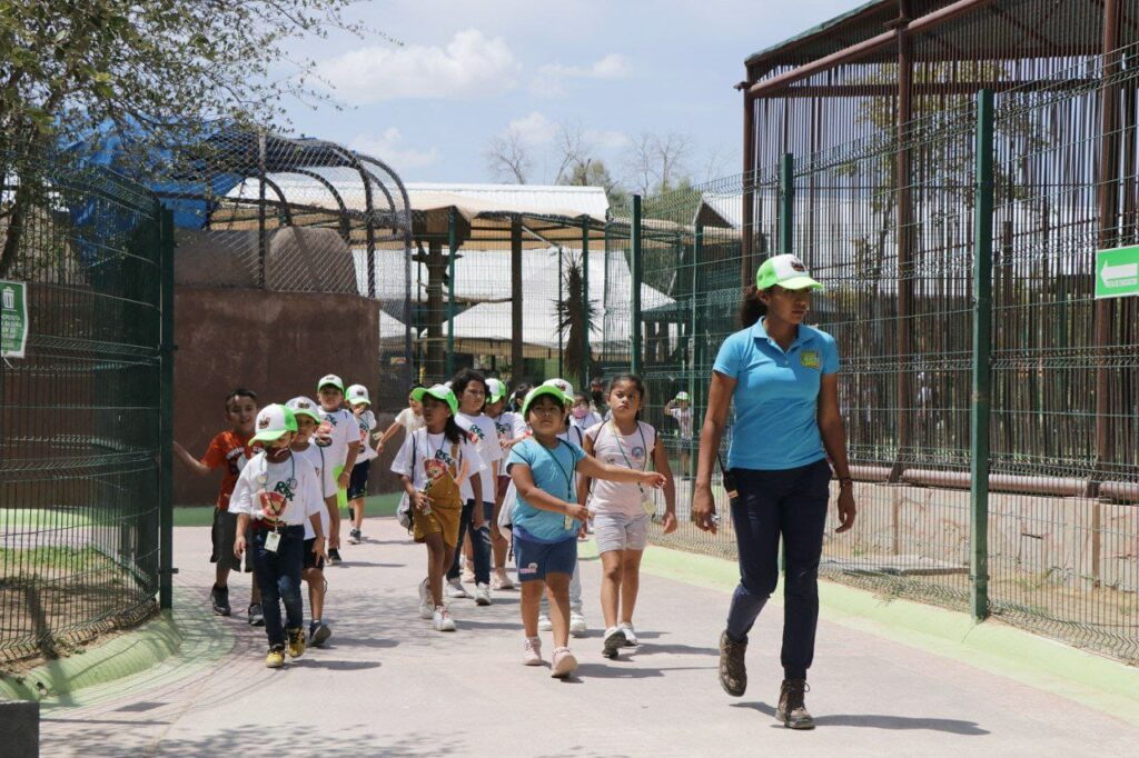 Culmina campamento de verano “Jurassic Camp” para menores en Nuevo Laredo