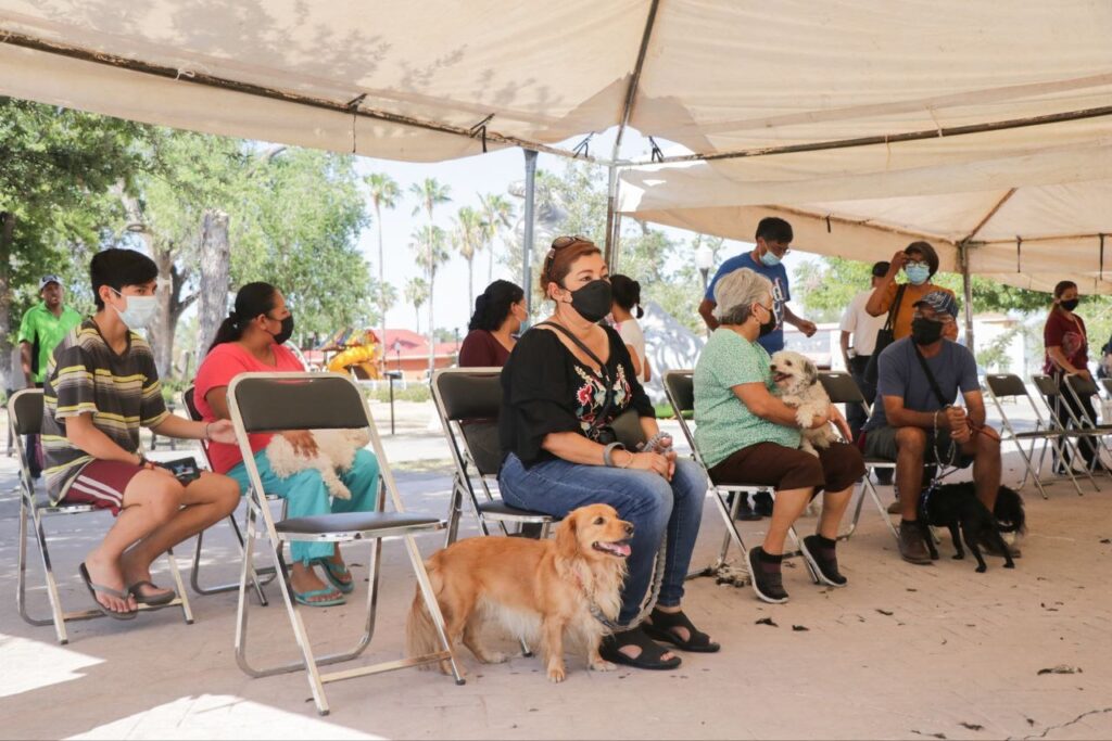 Realizará Gobierno de Nuevo Laredo este miércoles Brigada Médica y de Salud Animal