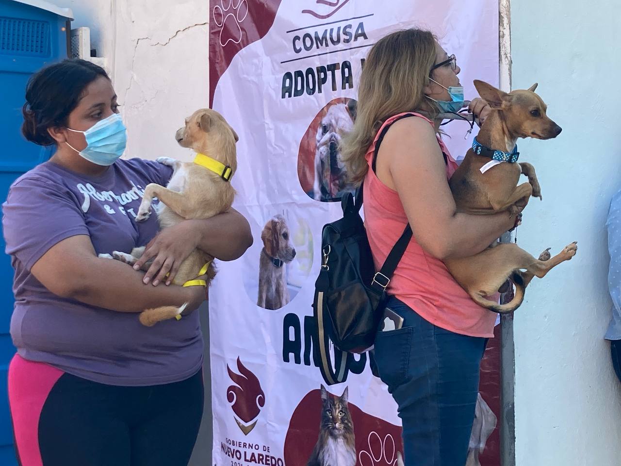 Inicia campaña de esterilización gratuita de 200 mascotas en Nuevo Laredo