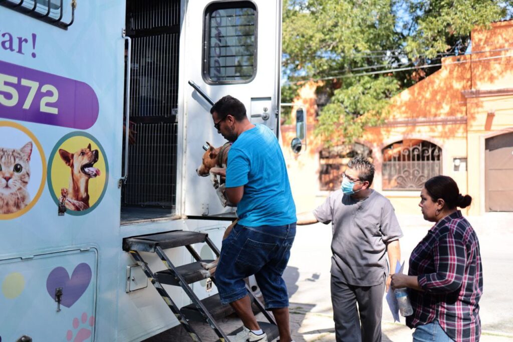 Finaliza campaña gratuita para esterilizar a más de 200 mascotas en Nuevo Laredo