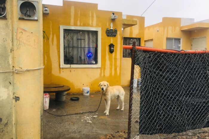 Rescatan policías a perrito en situación de abandono en Reynosa