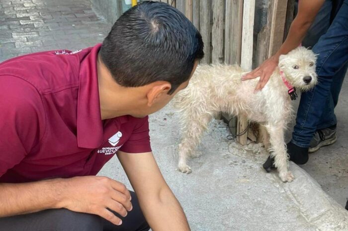 Lleva Gobierno de Nuevo Laredo atención veterinaria a domicilio