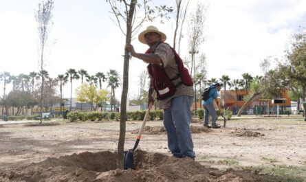 Reforesta Gobierno de Nuevo Laredo parques y plazas con mil 100 árboles