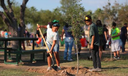 Invitan a empresas a unirse en campaña de reforestación de parques y plazas de Nuevo Laredo