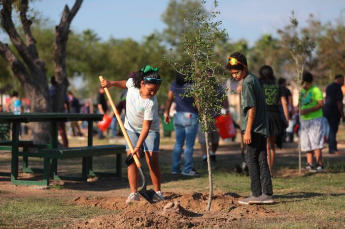 Invitan a empresas a unirse en campaña de reforestación de parques y plazas de Nuevo Laredo