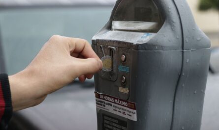 Responden neolaredenses a buen uso de estacionómetros