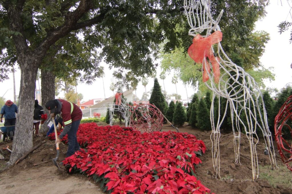 Invade el espíritu navideño a Nuevo Laredo