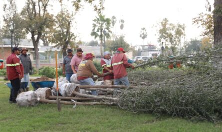 Inicia campaña de reforestación en plazas y parques municipales de Nuevo Laredo