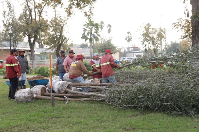 Inicia campaña de reforestación en plazas y parques municipales de Nuevo Laredo