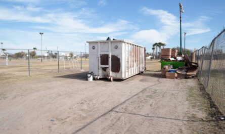 Habilita Nuevo Laredo centro de acopio para desechar pinos de navidad naturales