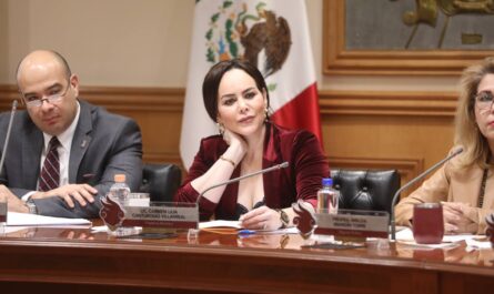 Carmen Lilia Canturosas confirma transformación del Parque Viveros