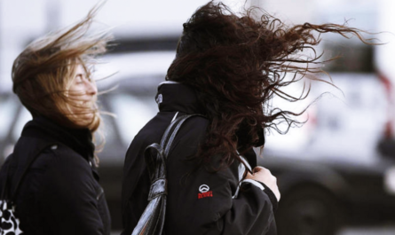 Pronostican fuertes rachas de viento en Tamaulipas por frente frío 35