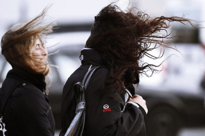 Pronostican fuertes rachas de viento en Tamaulipas por frente frío 35