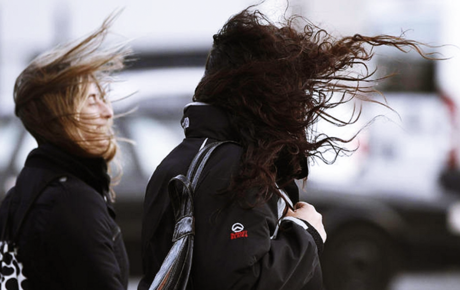 Pronostican fuertes rachas de viento en Tamaulipas por frente frío 35