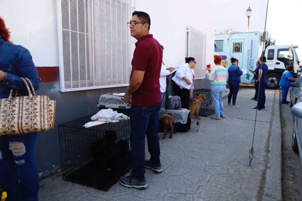 Inicia Nuevo Laredo campaña de esterilización gratuita de perros y gatos