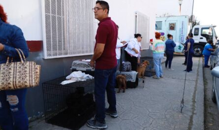 Inicia Nuevo Laredo campaña de esterilización gratuita de perros y gatos