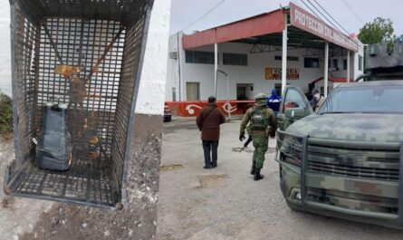 Hallan presunta bomba casera en Ciudad Victoria