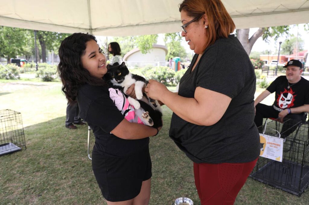 Brinda Nuevo Laredo hogar a mascotas rescatadas con feria de adopción