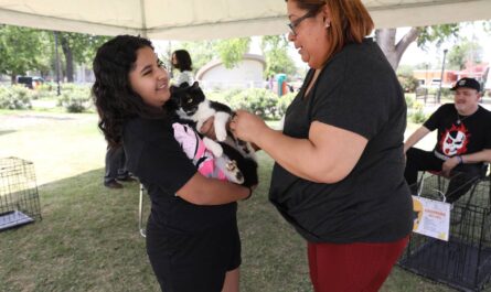 Brinda Nuevo Laredo hogar a mascotas rescatadas con feria de adopción