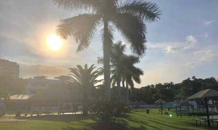 Ambiente cálido por la tarde en Tamaulipas