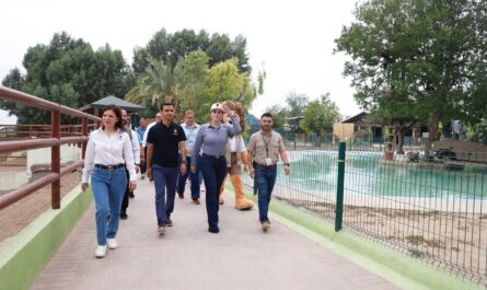 Avanza rehabilitación del “Serengueti” en el Zoológico de Nuevo Laredo